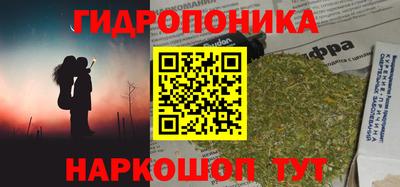 хмурый Заводоуковск