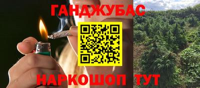 стафф Дубна