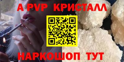 стафф Дубна