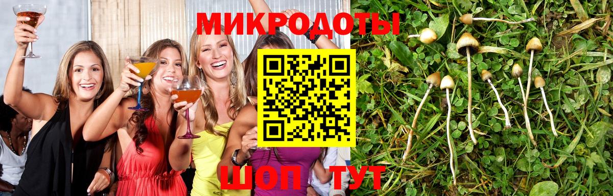 Моздок  где купить наркоту  Вход с VPN  Псилоцибиновые грибы ЛСД 