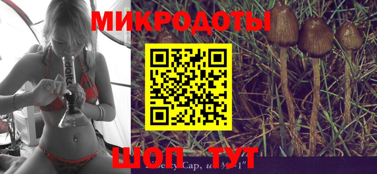 Псилоцибиновые грибы прущие грибы Моздок